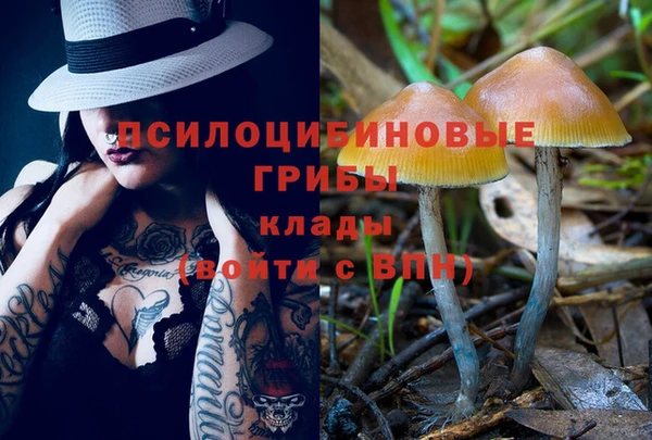 Альфа ПВП Аркадак